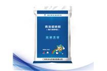 青龍瓷磚(zhuan)膠(jiao)（抗(kang)滑型(xing)）