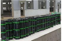 管(guan)廊及(ji)地(di)下工(gong)程防(fang)水(shui)